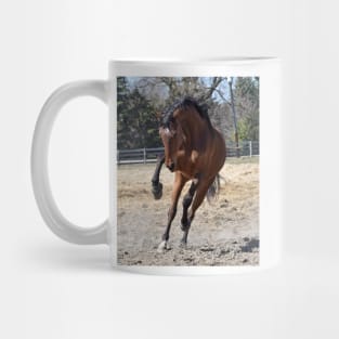 Handsome Mug